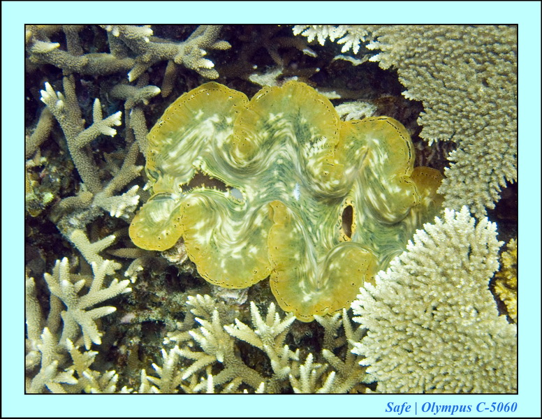 2008 - 07 - Perhentian - 086